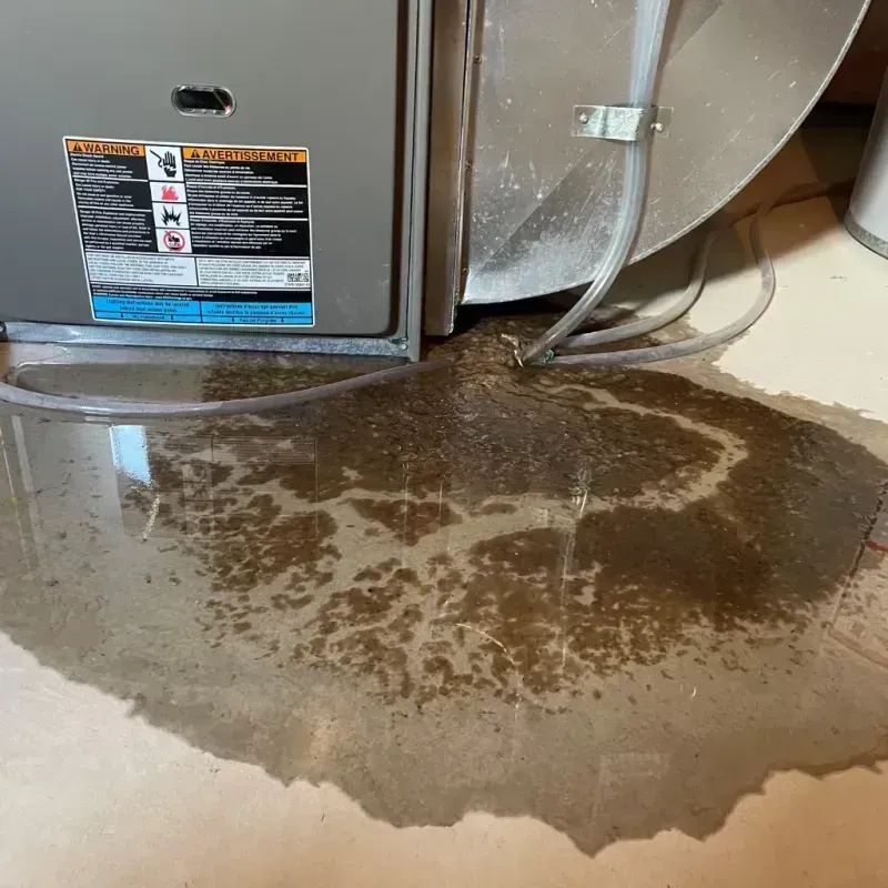 Appliance Leak Cleanup in Lea County, NM